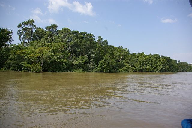 Ilha de Marajó