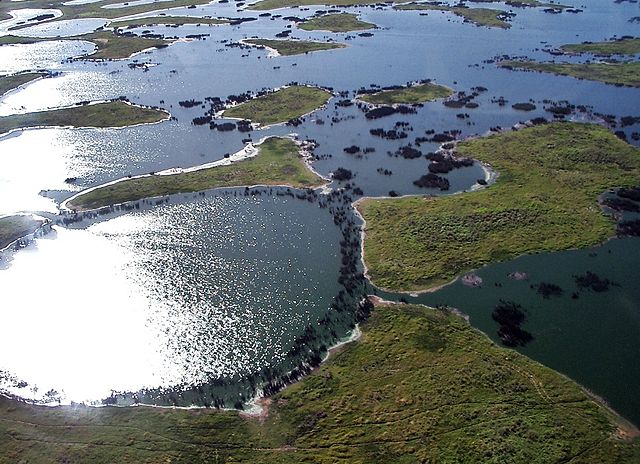 pantanal_south_america